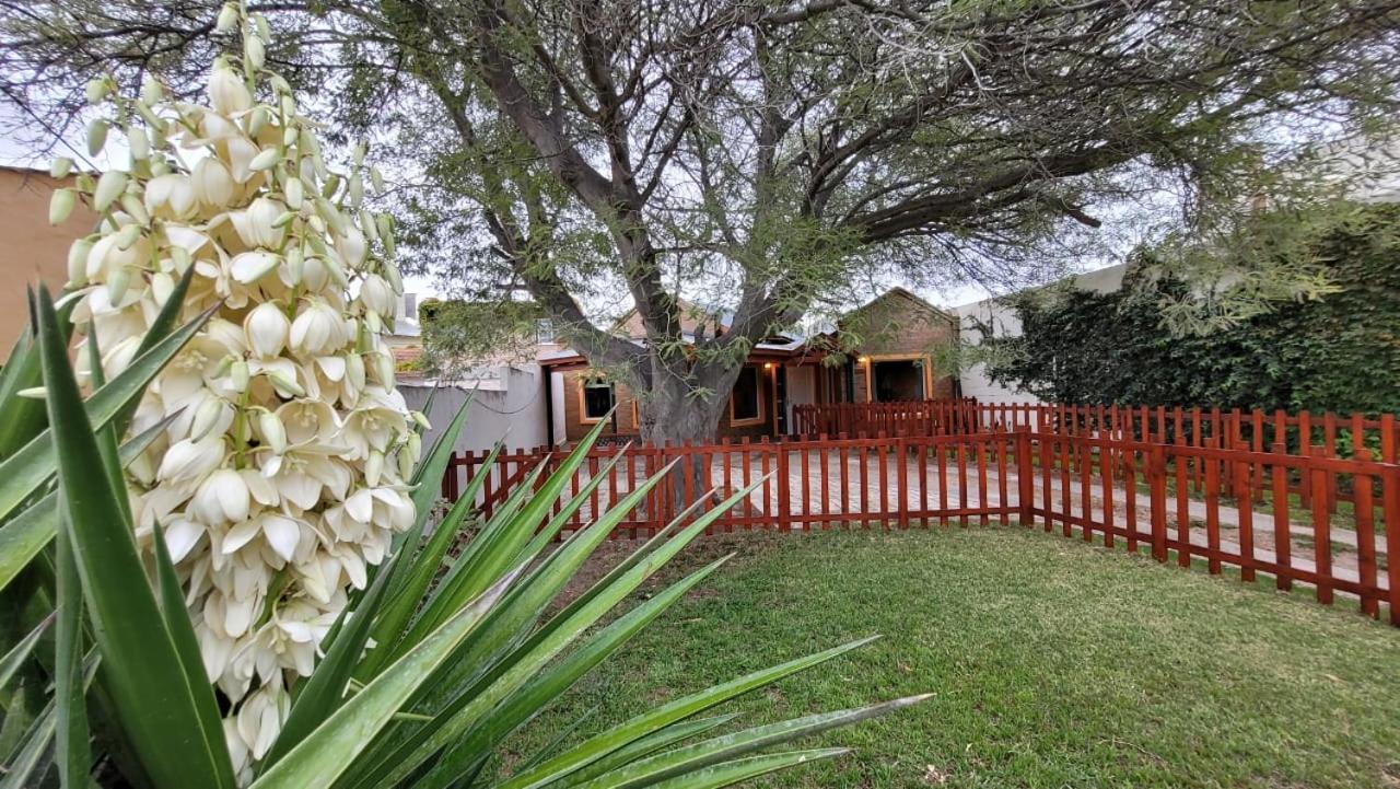 El Patio Del Aromo Apartment Puerto Madryn Exterior photo